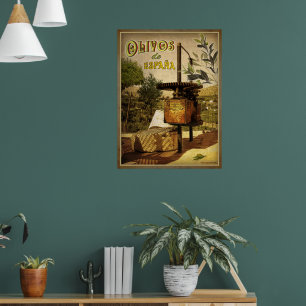 Olivos de España Poster