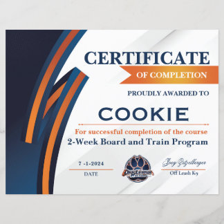 OLK9-Zertifikat Nr. 3