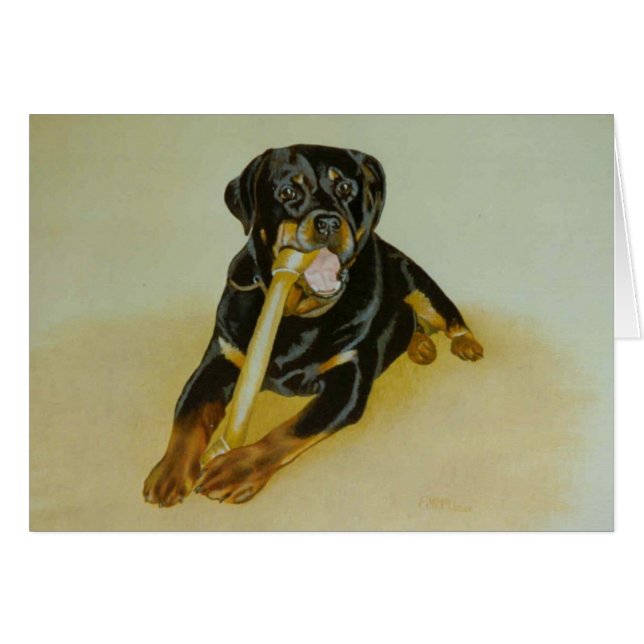 Ollie (Vorderseite (Horizontal))