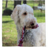 Ollie Duschvorhang (Vorderseite)