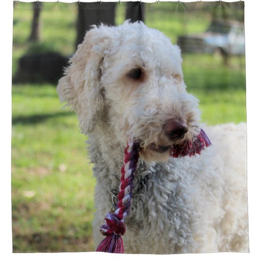 Ollie Duschvorhang (Vorderseite)