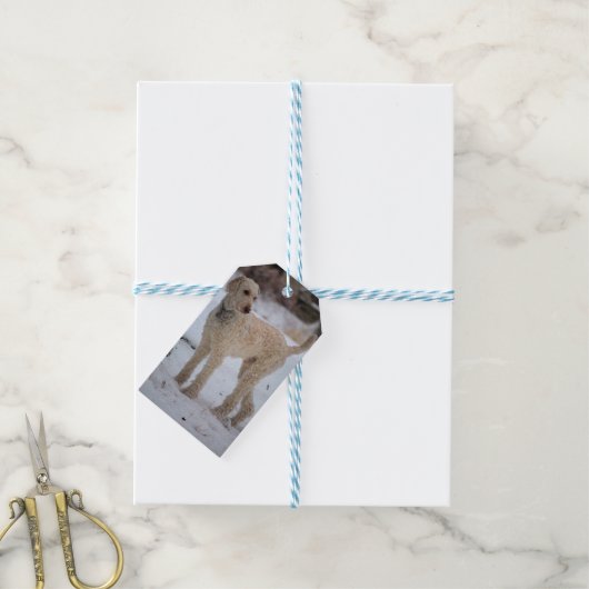 Ollie Geschenkanhänger (Mit Garn)