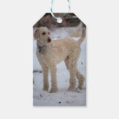 Ollie Geschenkanhänger (Vorderseite)