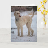 Ollie Karte (Gelbe Blume)