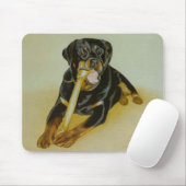 Ollie Mousepad (Mit Mouse)