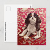 Ollie, Postkarte (Vorne/Hinten)