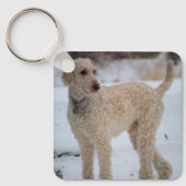 Ollie Schlüsselanhänger (Vorderseite)