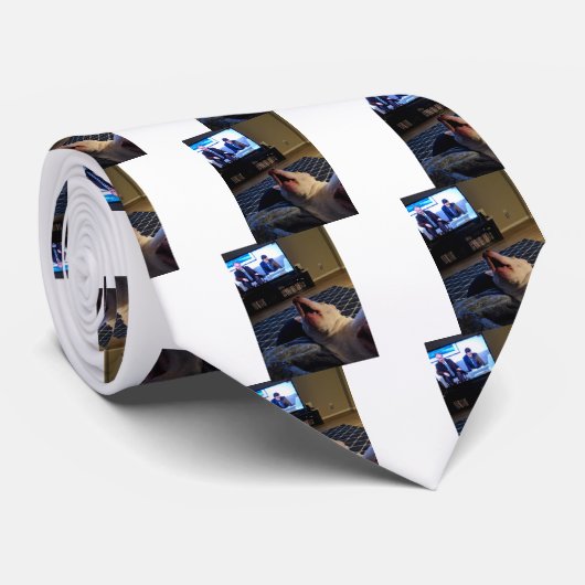 Ollie und Michael Scott Krawatte (Gerollt)