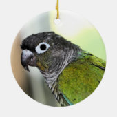 Ollie Wallie Keramik Ornament (Hinten)