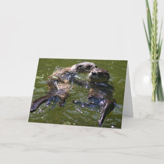 Olly Jolly Otters Feiertagskarte (Vorderseite)