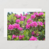 Ölmalerei auf Rhododendon in der alpinen Rose Postkarte (Vorne/Hinten)