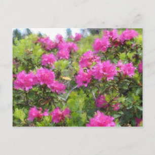 Ölmalerei auf Rhododendon in der alpinen Rose Postkarte