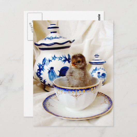 Ölmalteffekt Kick and Tee Cup in Studio Postkarte (Vorne/Hinten)