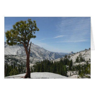 Olmsted Point I im Yosemite-Nationalpark