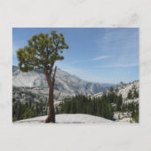 Olmsted Point I im Yosemite-Nationalpark Postkarte (Vorderseite)