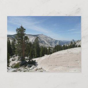 Olmsted Point II aus dem Yosemite-Nationalpark Postkarte