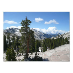 Olmsted Point III im Yosemite National Park Fotodruck
