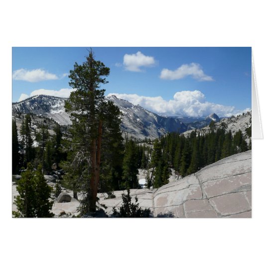 Olmsted Point III. Yosemite-Nationalpark (Vorderseite (Horizontal))