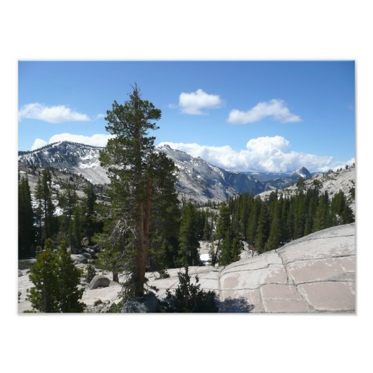 Olmsted Point III. Yosemite-Nationalpark Fotodruck (Vorne)