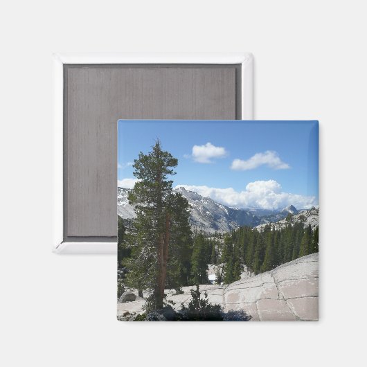 Olmsted Point III. Yosemite-Nationalpark Magnet (Vorderseite/Rückseite)