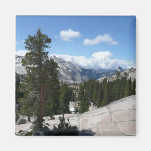 Olmsted Point III. Yosemite-Nationalpark Magnet