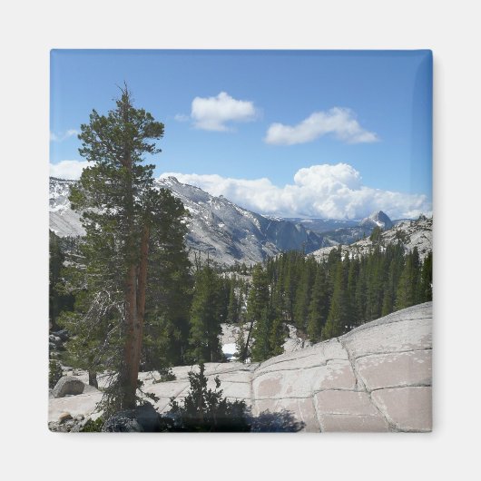 Olmsted Point III. Yosemite-Nationalpark Magnet (Vorne)
