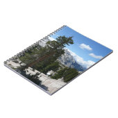 Olmsted Point III. Yosemite-Nationalpark Notizblock (Linke Seite)