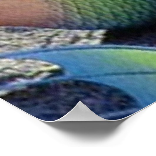 OLOKUN SIRENA POSTER (Ecke)