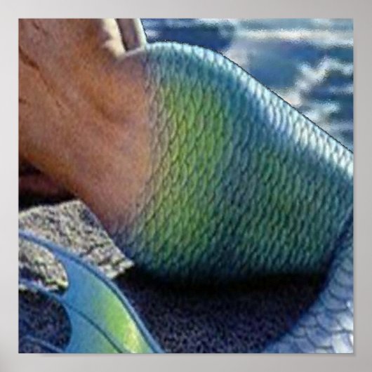 OLOKUN SIRENA POSTER (Vorne)