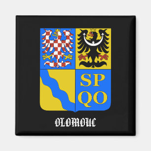Olomouc Tschechische Republik-Küchen-Magnet Magnet