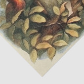 Öls und Elf Fairies - Illustration zur Natur Seidenpapier (Ausschnitt)