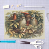 Öls und Elf Fairies - Illustration zur Natur Seidenpapier (Handwerk)