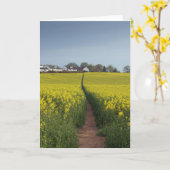 Ölsaat-Weg-Karte Karte (Gelbe Blume)