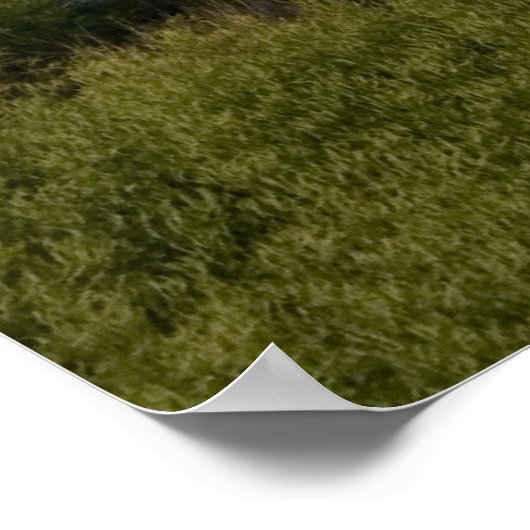 Öltanker & Bruch Dock Print Poster (Ecke)