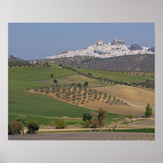 Olvera, Andalusia, Spain Poster (Vorne)