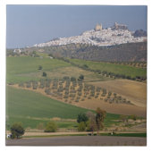 Olvera, Andalusien, Spanien Fliese (Vorderseite)