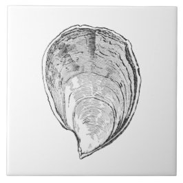 Olympia-Austern-Illustration Fliese