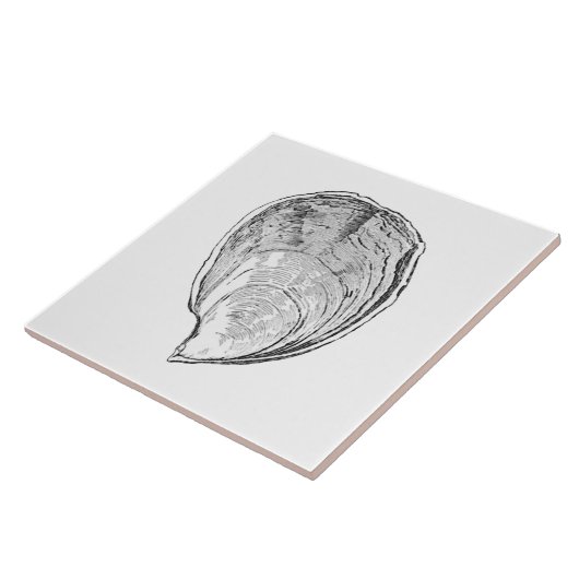 Olympia-Austern-Illustration Fliese (Seite)