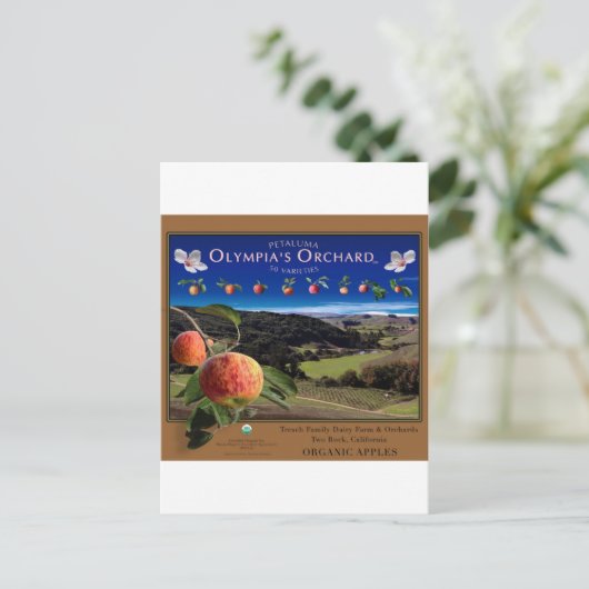 Olympia-Garten Postkarte (Stehend Vorderseite)