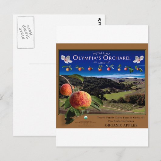Olympia-Garten Postkarte (Vorne/Hinten)