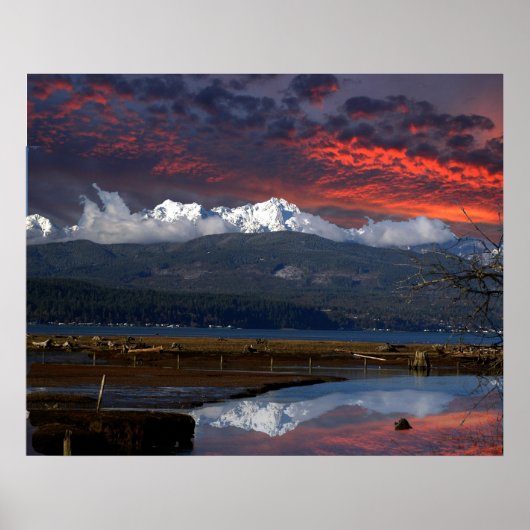 OLYMPIC MTS UND HOOD CANAL POSTER (Vorne)