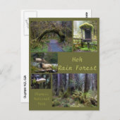 Olympic N.P. (Hoh Rain Forest 2) Postkarte (Vorne/Hinten)