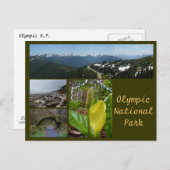 Olympic N.P. (Hurricane Ridge, Kalaloch, Hoh) Postkarte (Vorne/Hinten)