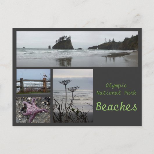 Olympic N.P. (Strände 2) Postkarte (Vorderseite)