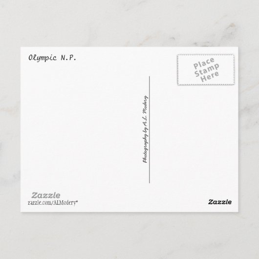 Olympic N.P. (Strände - Kalaloch, Rialto, Strand 4 Postkarte (Rückseite)