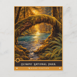 Olympic National Park Vintage-Postkarte Postkarte