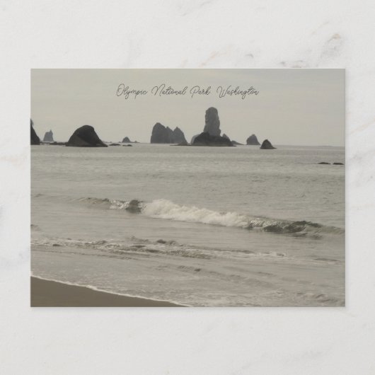Olympic National Park Washington Beach Postcard Postkarte (Vorderseite)