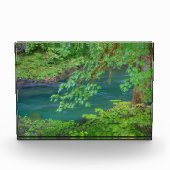 Olympic National Park Washington Staat Fotoblock (Vorderseite)