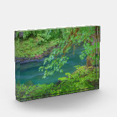 Olympic National Park Washington Staat Fotoblock (Links)