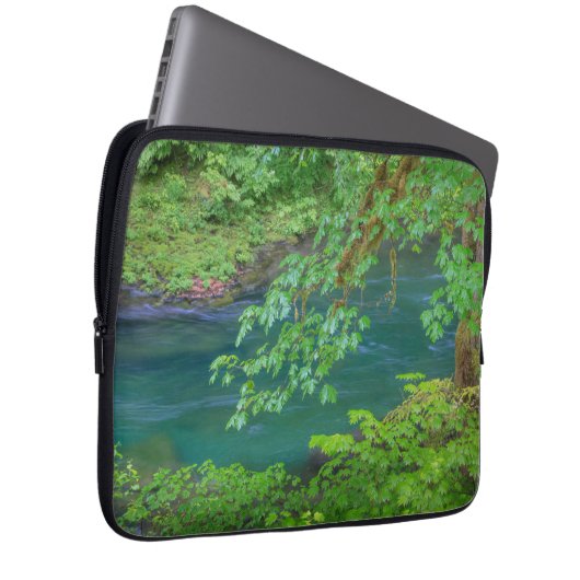 Olympic National Park Washington Staat Laptopschutzhülle (Vorne Rechts)